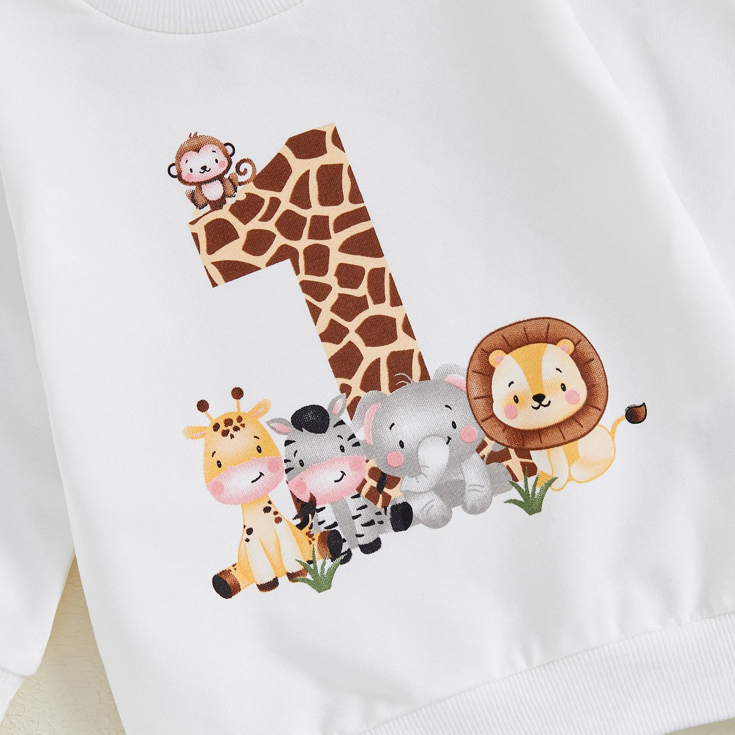 First Birthday Outfit